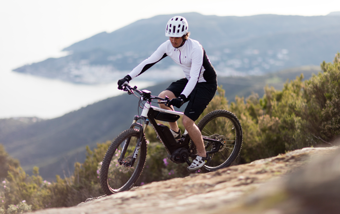 Dual Battery e-bike Riese & Müller