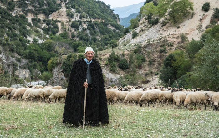 Balkan arm wirtschaft